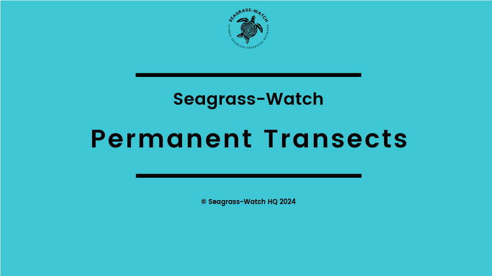 PDF) Seagrass-Watch Guidelines for Monitoring Seagrass Habitats in the  Burdekin Dry Tropics Region | Jane Mellors - Academia.edu